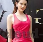 91麻豆app破解版-91麻豆app，揭秘与思考的双向视角
