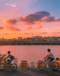 糖心app下载安装红杏h-智趣世界的缤纷探索，解锁生活多彩APP——红杏H